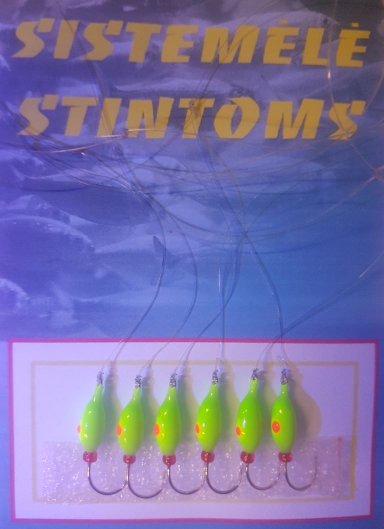 Sistemėlė STINTOMS -6 salotiniai